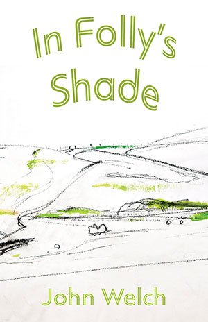 Cover of In Folly's Shade